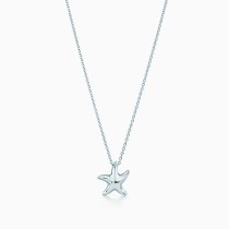  Elsa Peretti® Starfish Pendant on 16" chain