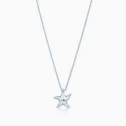  Elsa Peretti® Starfish Pendant on 16